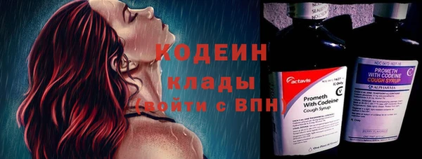 мдпв Верея