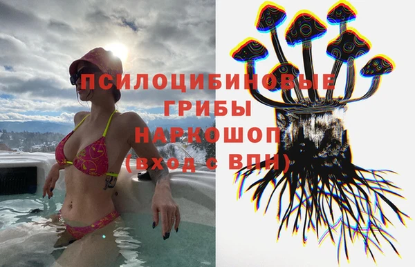мдпв Верея