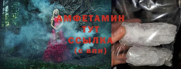 мдпв Верея